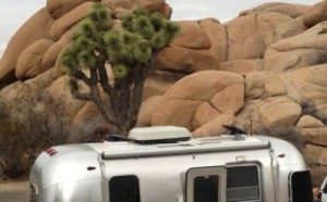 RVs at Joshua Tree Retreat Center